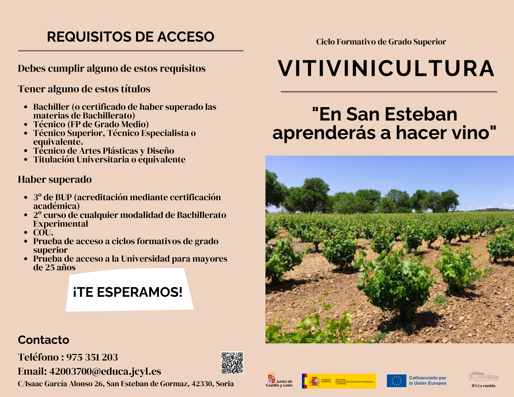 Vitivinicultura