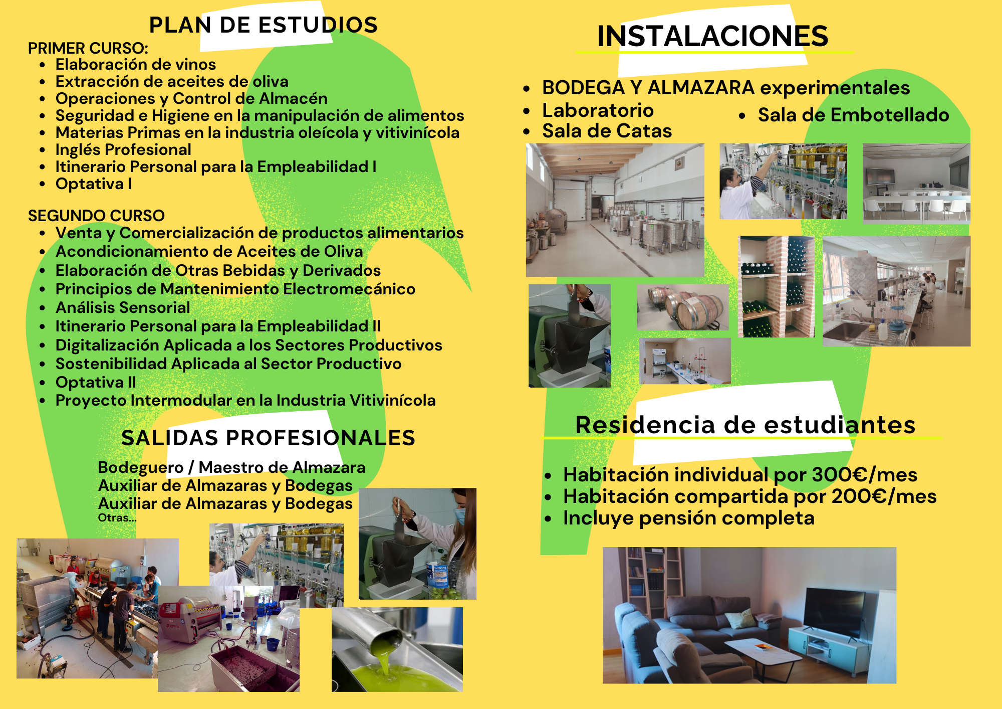 Díptico 2 fp