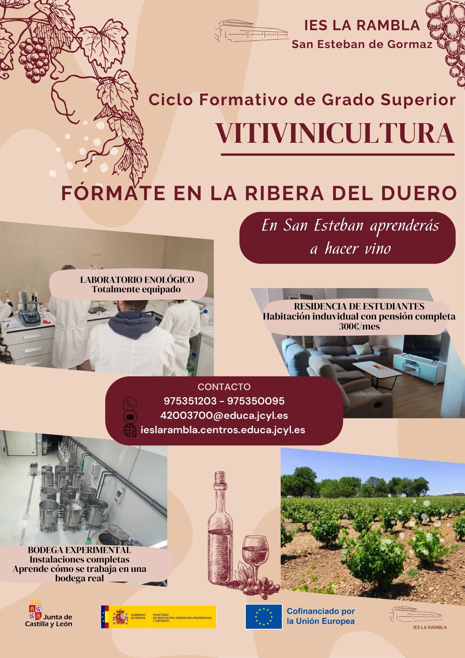 Vitivinicultura